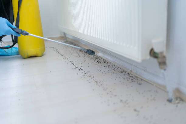Best Wildlife Control Services  in La Riviera, CA