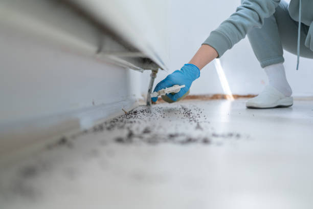 Best Residential Pest Control  in La Riviera, CA