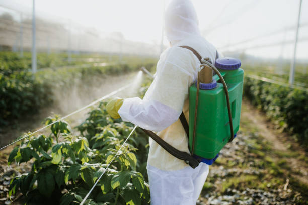 Best Flea Control Services  in La Riviera, CA